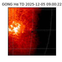 gong - 2025-12-05T09:00:22