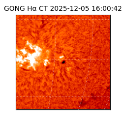 gong - 2025-12-05T16:00:42