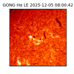 gong - 2025-12-05T08:00:42