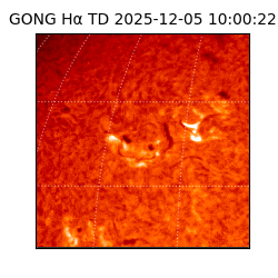 gong - 2025-12-05T10:00:22