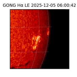 gong - 2025-12-05T06:00:42