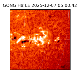 gong - 2025-12-07T05:00:42