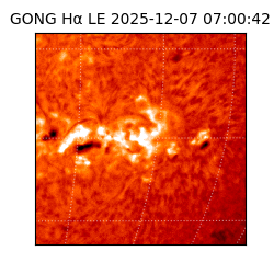 gong - 2025-12-07T07:00:42