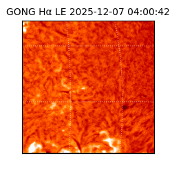 gong - 2025-12-07T04:00:42