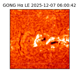 gong - 2025-12-07T06:00:42