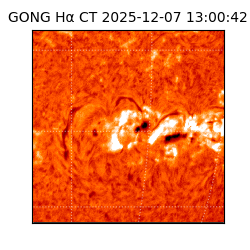 gong - 2025-12-07T13:00:42