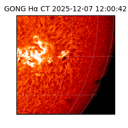 gong - 2025-12-07T12:00:42