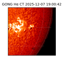 gong - 2025-12-07T19:00:42