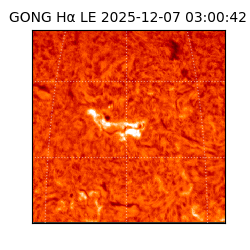 gong - 2025-12-07T03:00:42