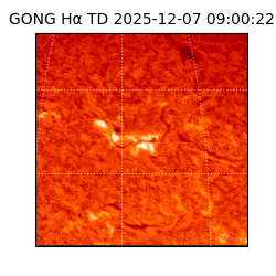 gong - 2025-12-07T09:00:22