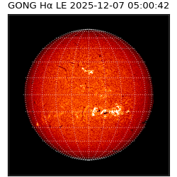 gong - 2025-12-07T05:00:42