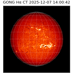 gong - 2025-12-07T14:00:42