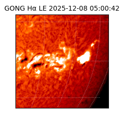 gong - 2025-12-08T05:00:42