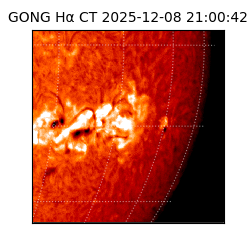 gong - 2025-12-08T21:00:42