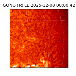 gong - 2025-12-08T08:00:42