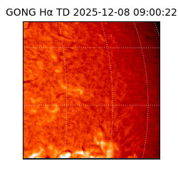 gong - 2025-12-08T09:00:22
