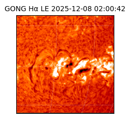 gong - 2025-12-08T02:00:42