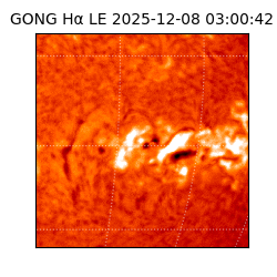 gong - 2025-12-08T03:00:42