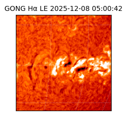 gong - 2025-12-08T05:00:42