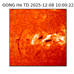 gong - 2025-12-08T10:00:22