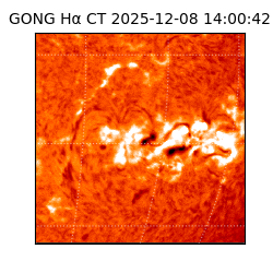 gong - 2025-12-08T14:00:42