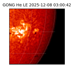 gong - 2025-12-08T03:00:42
