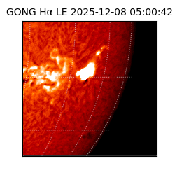 gong - 2025-12-08T05:00:42