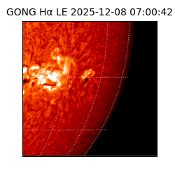 gong - 2025-12-08T07:00:42