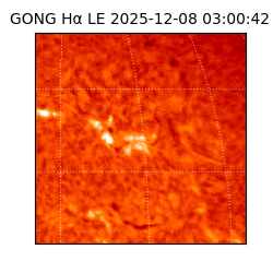 gong - 2025-12-08T03:00:42