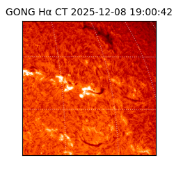 gong - 2025-12-08T19:00:42