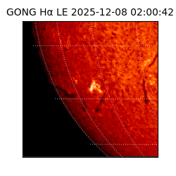 gong - 2025-12-08T02:00:42