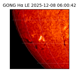gong - 2025-12-08T06:00:42