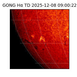 gong - 2025-12-08T09:00:22
