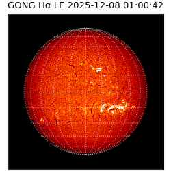 gong - 2025-12-08T01:00:42