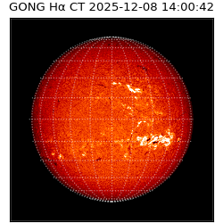 gong - 2025-12-08T14:00:42
