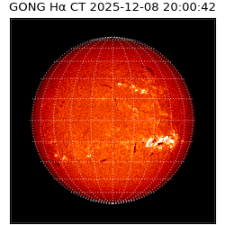 gong - 2025-12-08T20:00:42