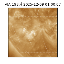 saia - 2025-12-09T01:00:07.387000