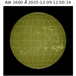 saia - 2025-12-09T12:00:14.125000