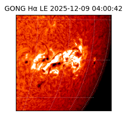 gong - 2025-12-09T04:00:42