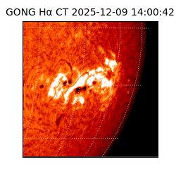 gong - 2025-12-09T14:00:42