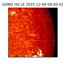 gong - 2025-12-09T08:00:42
