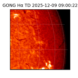 gong - 2025-12-09T09:00:22