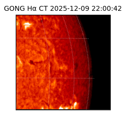gong - 2025-12-09T22:00:42