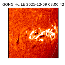 gong - 2025-12-09T03:00:42