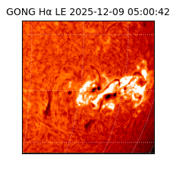 gong - 2025-12-09T05:00:42