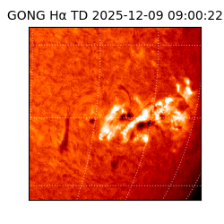 gong - 2025-12-09T09:00:22