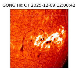 gong - 2025-12-09T12:00:42