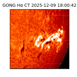 gong - 2025-12-09T18:00:42