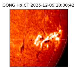 gong - 2025-12-09T20:00:42