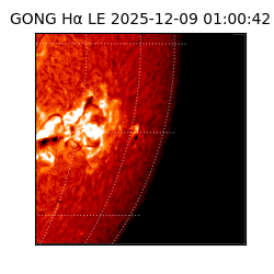 gong - 2025-12-09T01:00:42